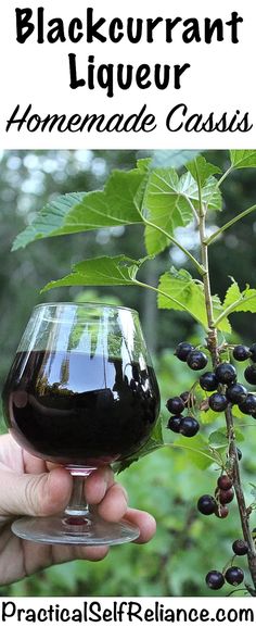 a hand holding a wine glass with blackberries on it and the words, how to drink black currant liqueur homemade cassis