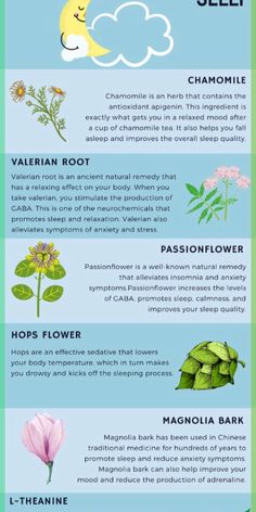 Having trouble falling and staying asleep? Try these herbal remedies that will soothe you into a calm and peaceful sleep. #sleep #insomnia #herbs #herbal #naturalremedy #remedy Carpal Tunnel Relief, Sleep Insomnia, Sleep Supplements, Valerian Root, Sleep Remedies, Can't Sleep, Peaceful Sleep, Turmeric Benefits, Fall Asleep Faster