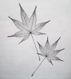 two leaves that are sitting on top of a piece of white paper with black ink