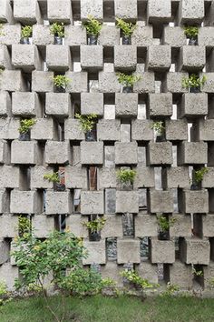 a building made out of concrete blocks with plants growing in the windows