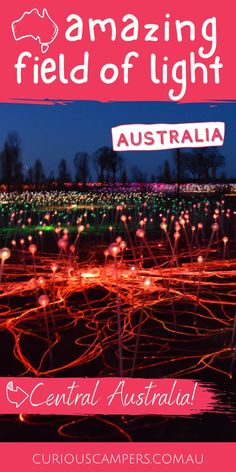 Uluru Field of Light Field Of Lights, Desert Night, Colorful Lights