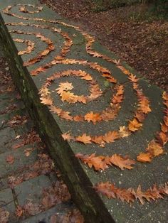 the leaves are on the ground and there is a spiral design in the middle of it