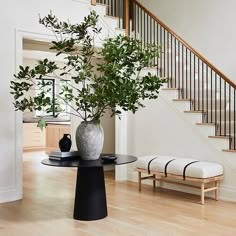 there is a plant in the vase on the table next to the stairs and bench