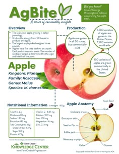 an apple info sheet with information about the different fruits and vegetables in each part of it