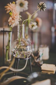 the scientist's savea nolan book cover is shown with flowers in vases