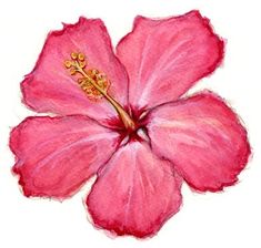 a drawing of a pink flower with yellow stamen on it's center piece