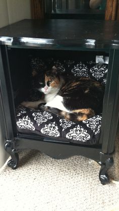 a cat laying on top of a black cabinet