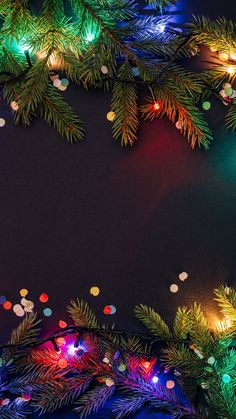 christmas lights are hanging from the branches of a pine tree on a dark background with copy space