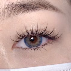 Japanese Lash Extensions, Monolid Eyelash Extensions, Korean Lash Extensions, Permanent Eyelashes, Fresh Face Makeup, Korean Makeup Tutorials