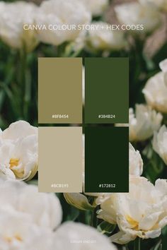 some white flowers are in the middle of green and brown color palettes with text that reads, canva color story 4 hex code