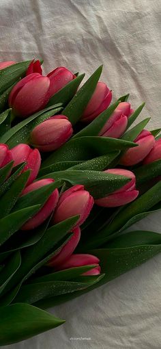 red tulips with green leaves on a white cloth covered tablecloth are ready to be picked up