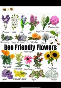 an image of flowers with the words bee friendly flowers on it's front cover