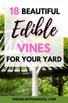 Discover the beauty and taste of 18 edible vines that will transform your home landscape. Learn about their health benefits, ease of growing, and how they can add a touch of elegance to any garden while providing a sustainable and nutritious source of food.