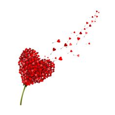 a red heart shaped flower blowing in the wind with hearts coming out from behind it