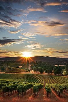 the sun is setting over a vineyard with trees and mountains in the background, as seen from above