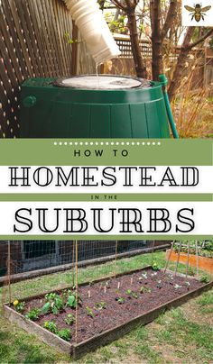 a garden with the words how to homestead suburbs