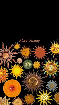 an image of many different types of sunflowers on a black background with the words stay sunny