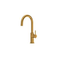 the brass faucet is shown in front of a white background and has a long spout