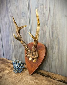 a deer's head is mounted on a wooden heart