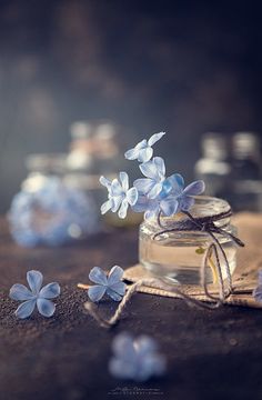 some blue flowers are in a glass jar