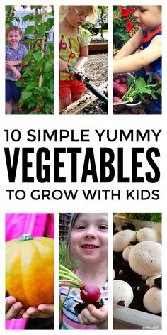 the cover of 10 simple yummy vegetables to grow with kids