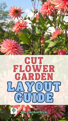 pink flowers with the words cut flower garden lay out guide in front of it and an image