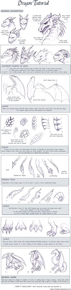 an image of how to draw dragon wings