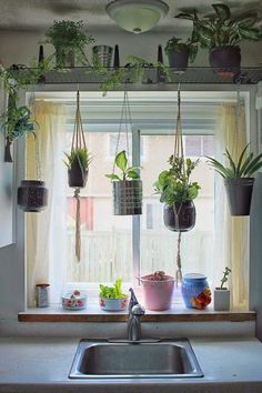 some plants are hanging from the window sill in front of a sink and windowsill