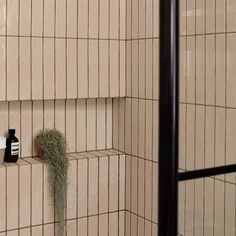 a bathroom with tiled walls and a green plant in the corner