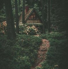 a small cabin in the woods surrounded by trees and flowers with a path leading to it