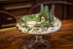 a glass bowl filled with plants on top of a wooden table