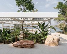 an outdoor area with large rocks and plants