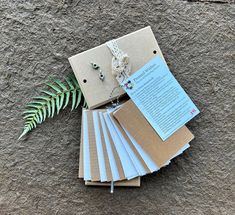 a bunch of papers sitting on top of a table next to a fern leaf and brochure