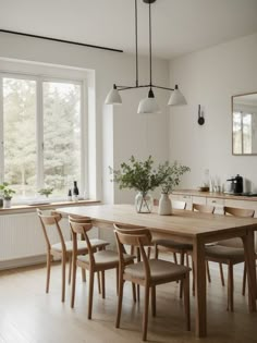 a dining room table with chairs and a potted plant in the center on top of it