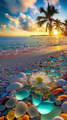 the sun is setting over an ocean with rocks and flowers on it, along with palm trees