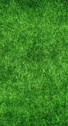 green grass textured as a background or backdrop