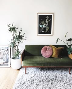 a living room filled with lots of plants next to a white rug on top of a hard wood floor