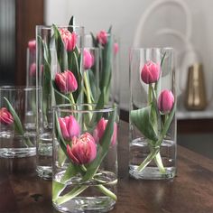 pink tulips are in glass vases on a table