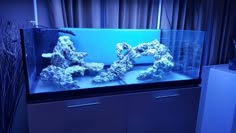 an aquarium with rocks and algae in the bottom half, on top of a cabinet next to a window