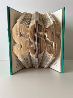 an open book with folded pages in the shape of a flower