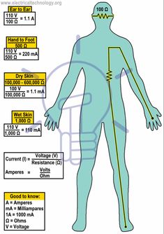 the diagram shows how to measure your body's height