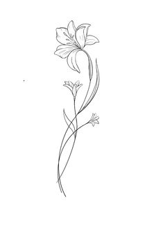 a line drawing of a flower on a white background