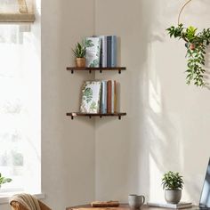 a living room filled with furniture next to a window and potted plants on the wall