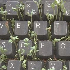 a keyboard with plants growing out of it's keys and letters on the keys