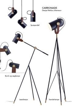 the different types of floor lamps are shown in this graphic diagram, which shows how to use