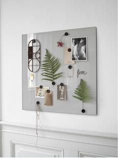 a white wall with pictures and plants hanging on it