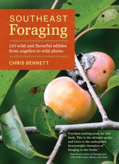 the cover of southeast foraging, with two peaches on it's tree branch