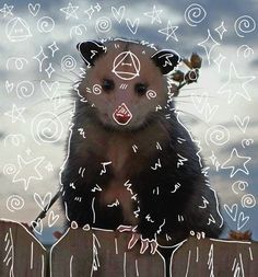 a ferret sitting on top of a wooden fence next to a sky filled with clouds