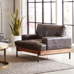 a living room filled with furniture and a plant in front of a large glass window