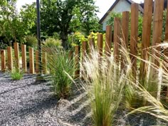 a wooden fence next to some grass and trees